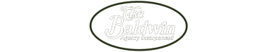 Baldwin Insurance Agency mobile logo